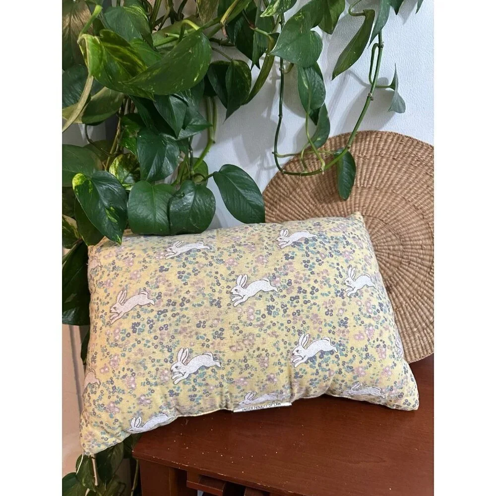 Target Easter bunny, spring throw pillow